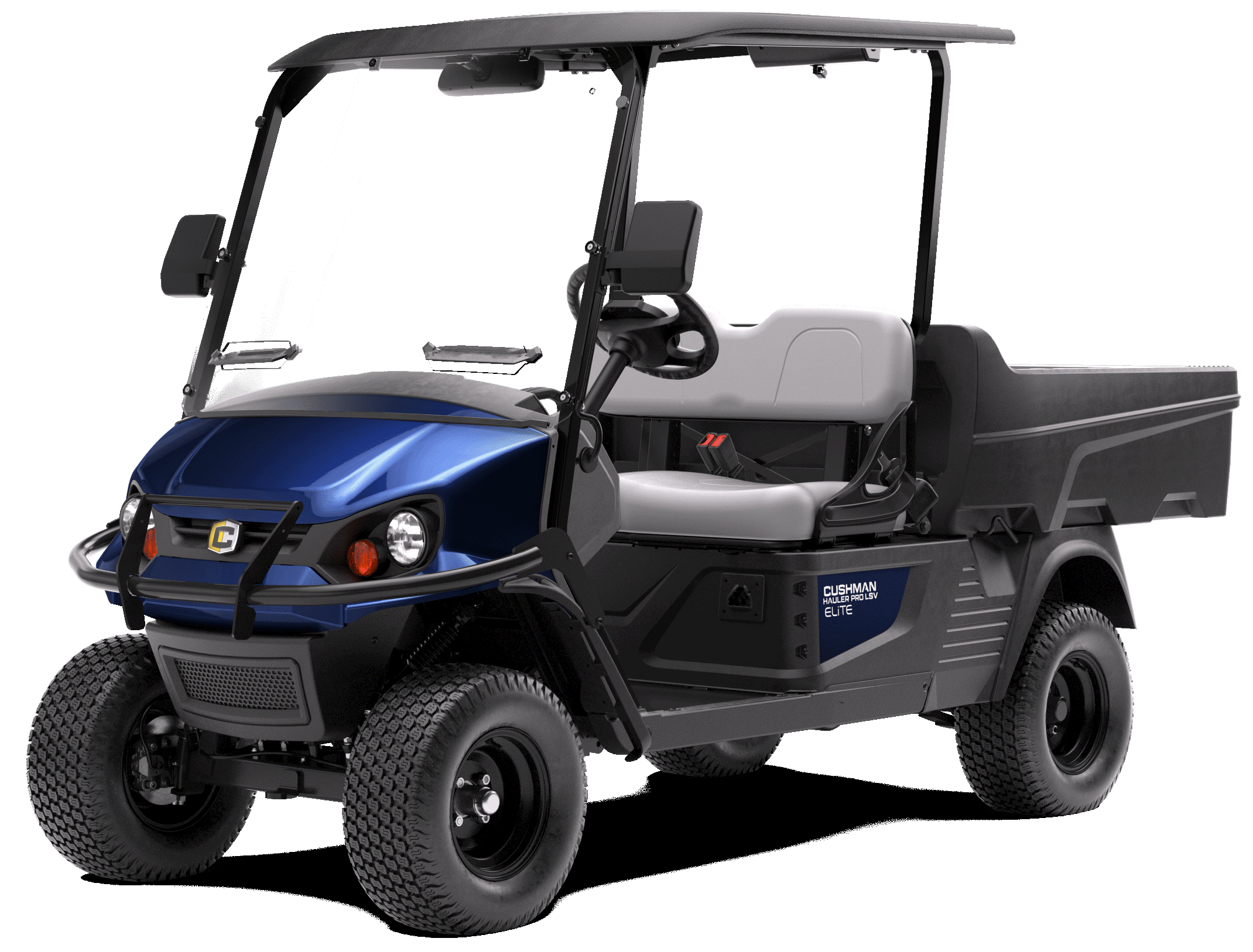 Golf carts for Rental in Sun Lakes, AZ